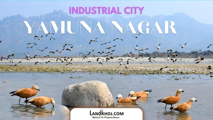 industrial city yamuna nagar