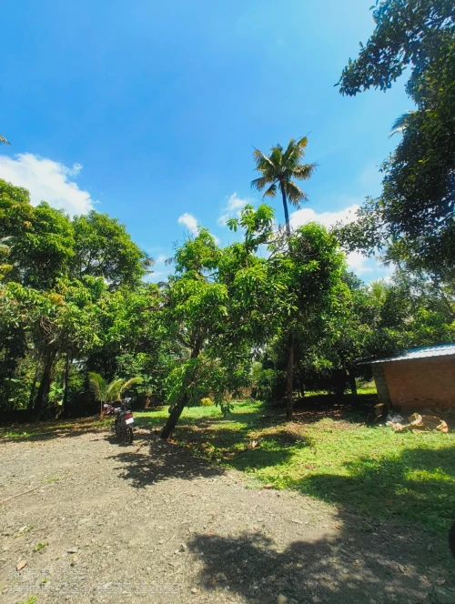 LP17149 -  Residential Plot / Land Available For Sale  in Trichur