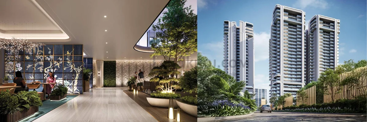 Landkhoj Project | LJ17620