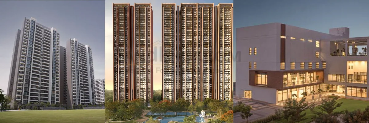 Landkhoj Project | LJ17626