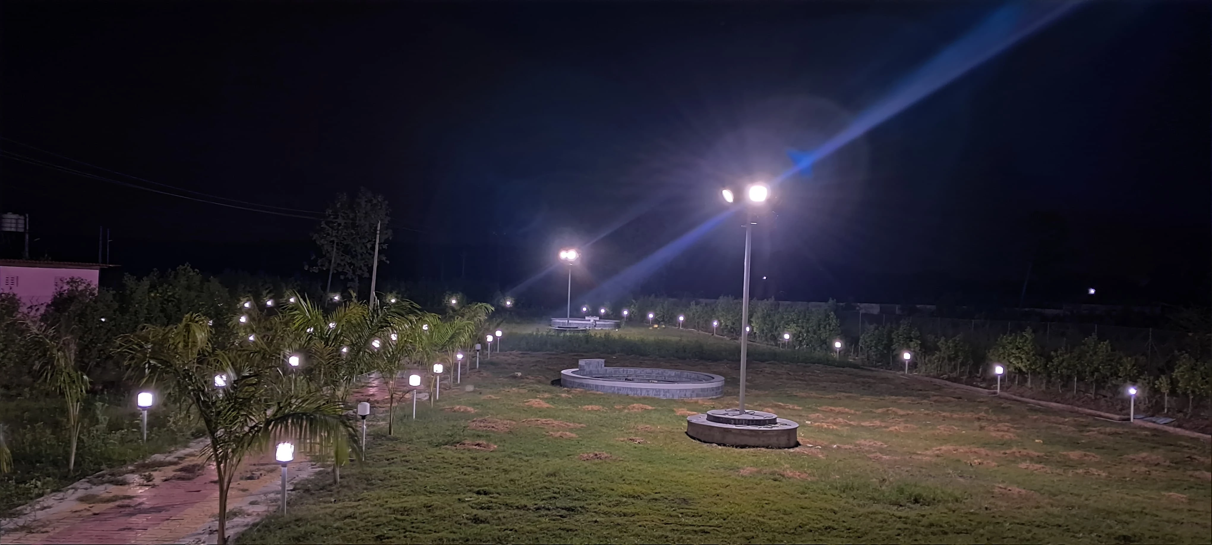 Site View